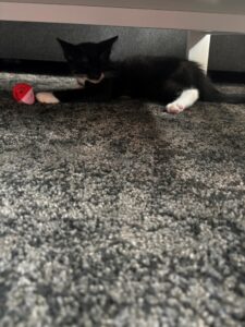 IMG_1619