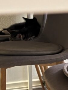 IMG_1626