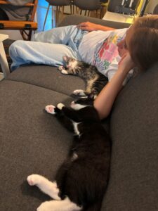 IMG_1652