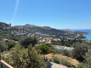 IMG_3794