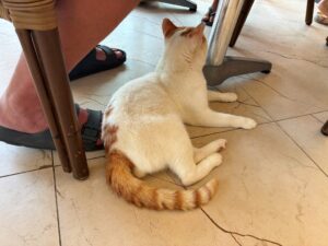 IMG_3811