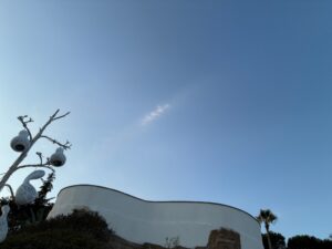 IMG_3865